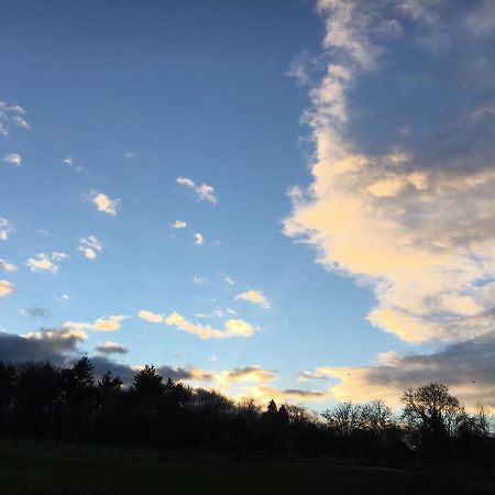 Fox View Guesthouse 布里斯托 外观 照片