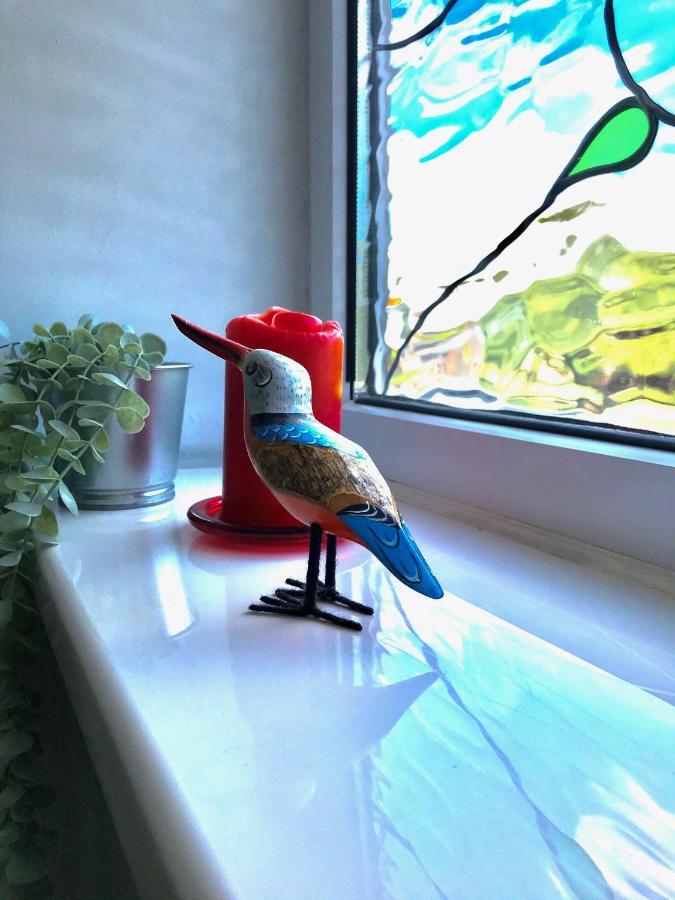 Fox View Guesthouse 布里斯托 外观 照片